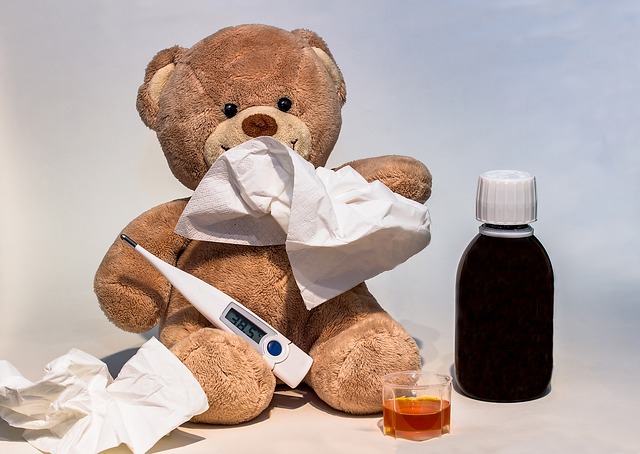 medvídek s chřipkou