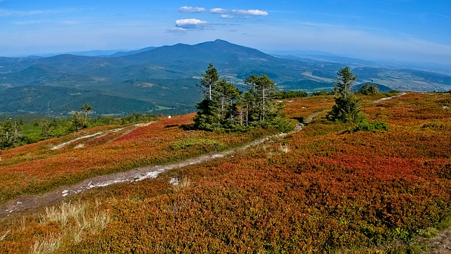 výhled na Beskydy
